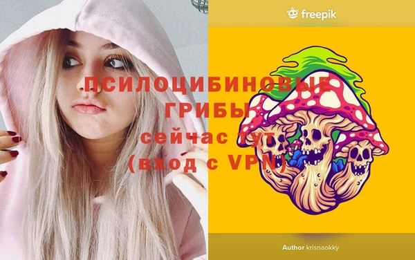 крисы Киреевск